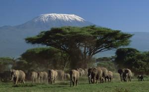 La reina de África: Kenia