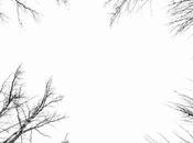 Tumbada sobre césped, febrero 2016