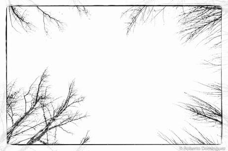 Tumbada sobre el césped, 8 de febrero de 2016