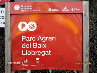 Parque Agrario y Delta del Llobregat  21/02/2016