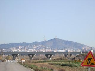 Parque Agrario y Delta del Llobregat  21/02/2016