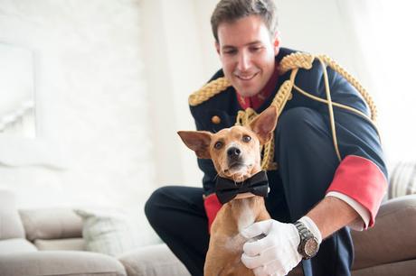 Alba&Ricardo: Una boda romántica con mucho encanto.
