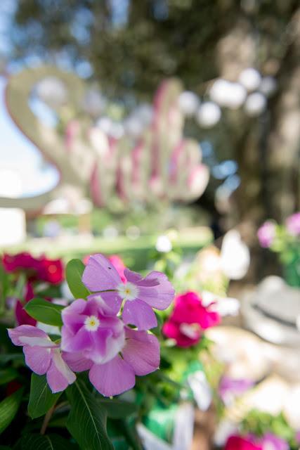 Alba&Ricardo: Una boda romántica con mucho encanto.