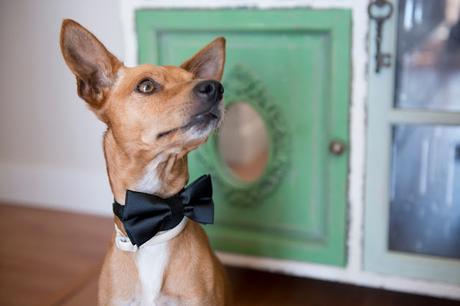 Alba&Ricardo: Una boda romántica con mucho encanto.