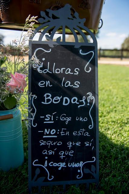 Alba&Ricardo: Una boda romántica con mucho encanto.