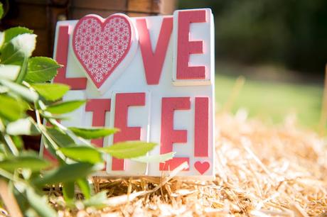 Alba&Ricardo: Una boda romántica con mucho encanto.