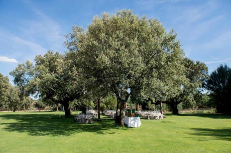 Alba&Ricardo: Una boda romántica con mucho encanto.