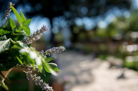 Alba&Ricardo: Una boda romántica con mucho encanto.