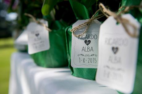 Alba&Ricardo: Una boda romántica con mucho encanto.