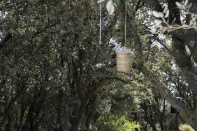 Tu boda rural