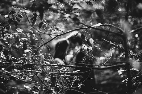 beso-naturaleza-fotografia-boda-huesca