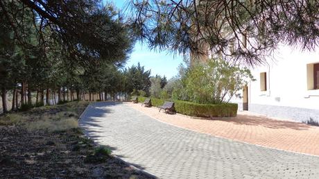 →Me Re-Caso← Renovación Votos Matrimoniales