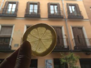 fotografia gastronomia, curso fotografia, plano cenital, foodies, gastronomia, estilismo gastronomico