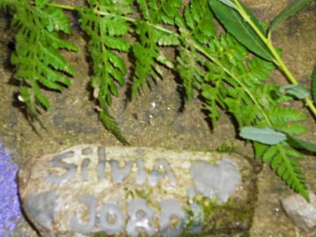 CAMINO DE SANTIAGO: RIBADISO DA BAIXO-SALCEDA. (CAMINO FRANCÉS)