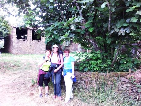 CAMINO DE SANTIAGO: RIBADISO DA BAIXO-SALCEDA. (CAMINO FRANCÉS)