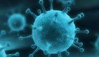 Como el Virus de la Infuenza evade al Sistema Inmunologico
