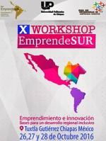 X Workshop Emprendesur