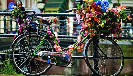 Empieza la cuenta atrás en 5… Empieza la cuenta atrás en 5…