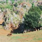 325 kilómetros por Asturias y Cantabria