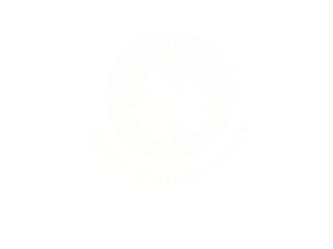 d6c500f0-9345-431f-b2a9-a4679e036a19