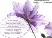 Reflexiones Febrero 2008