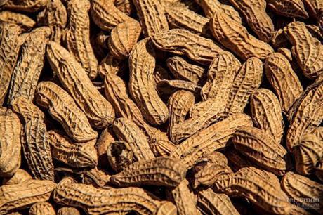 El cacahuate, un bocado que te llenará de energía para salir a pedalear El cacahuate, un bocado que te llenará de energía para salir a pedalear