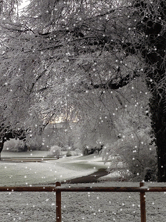 Terminando el año....