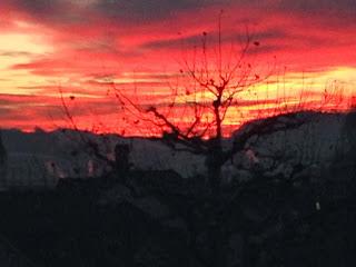 Terminando el año....