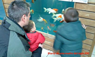 Miércoles Mudo: Peces