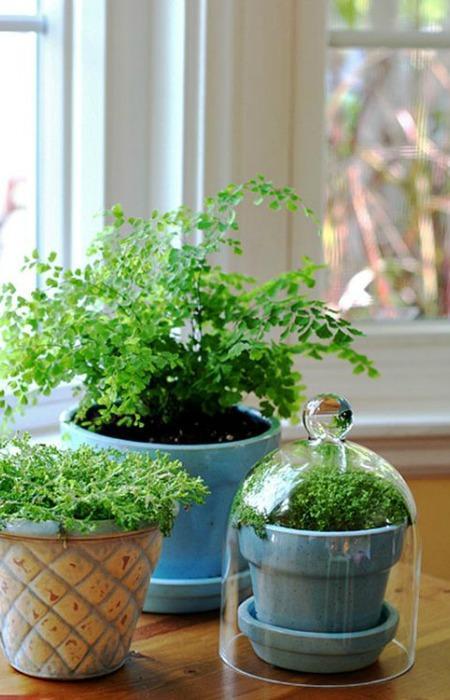 Mama papi posas