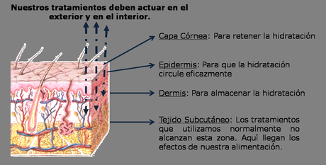 Cómo elegir la mejor crema hidratante o crema de día