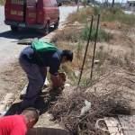 Rescatistas y bomberos rescatan a cachorro atrapado en alcantarilla