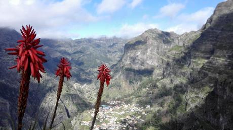 Un paseo por Madeira