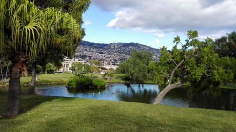 Un paseo por Madeira