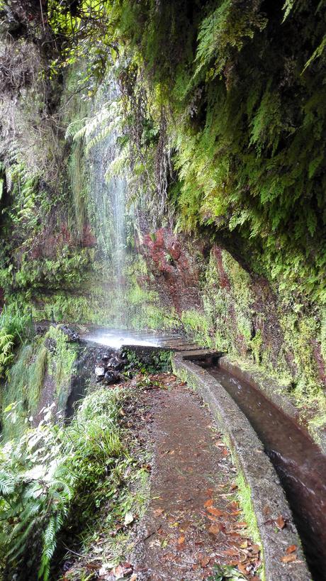 Un paseo por Madeira