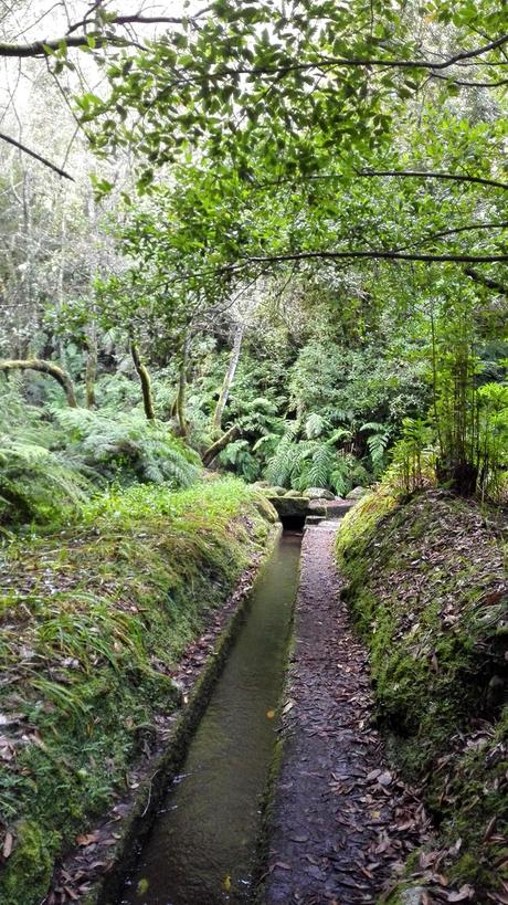 Un paseo por Madeira