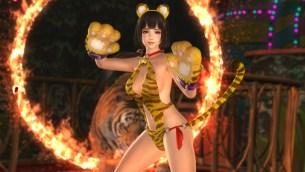 Dead or Alive 5 Last Round Naotora 11