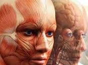 principales lesiones: causas consecuencias