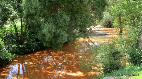 Burgos. Covarrubias. El misterio del río colorado. The mystery of the Colorado River