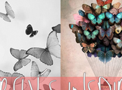 Butterfly´s inpiration