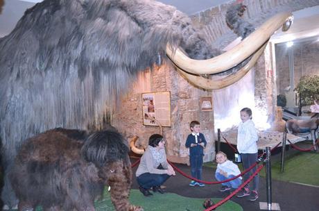 Museo del mamut Barcelona