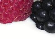 Yogur desnatado: propiedades valor nutricional comparación leche