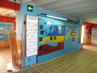 La laguna de Gallocanta, un lugar ideal para los amantes de los pájaros