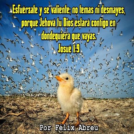 Cuando las cosas no salen como esperamos