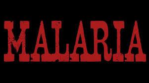 El corto de los viernes (156 - Malaria)