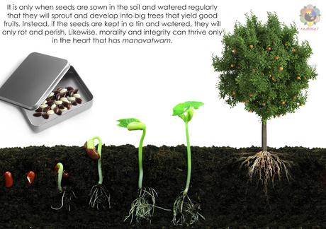 LLUVIAS DE VERANO 1990 ILUSTRADO PARTES 14 Y 15