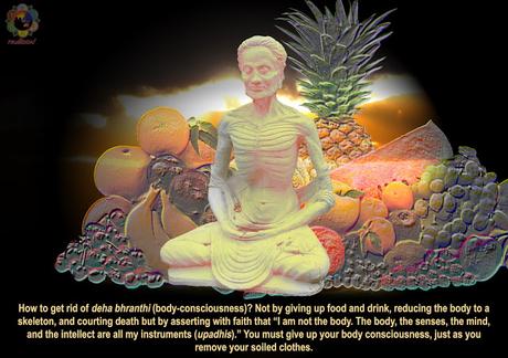 LLUVIAS DE VERANO 1990 ILUSTRADO PARTES 14 Y 15