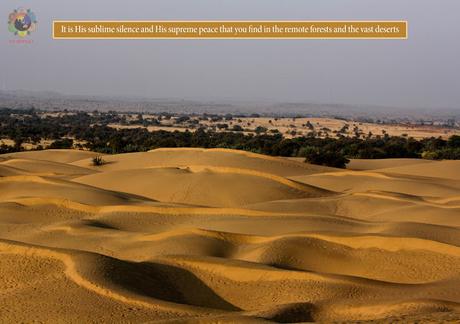 LLUVIAS DE VERANO 1990 ILUSTRADO PARTES 14 Y 15