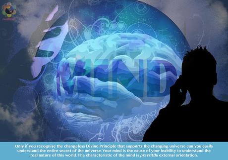 LLUVIAS DE VERANO 1990 ILUSTRADO PARTES 14 Y 15