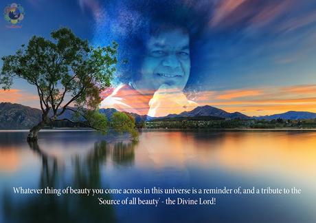 LLUVIAS DE VERANO 1990 ILUSTRADO PARTES 14 Y 15